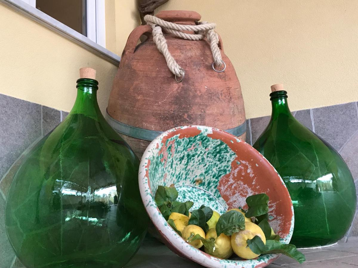 La Cantina Dello Sgatto Προτσίντα Εξωτερικό φωτογραφία