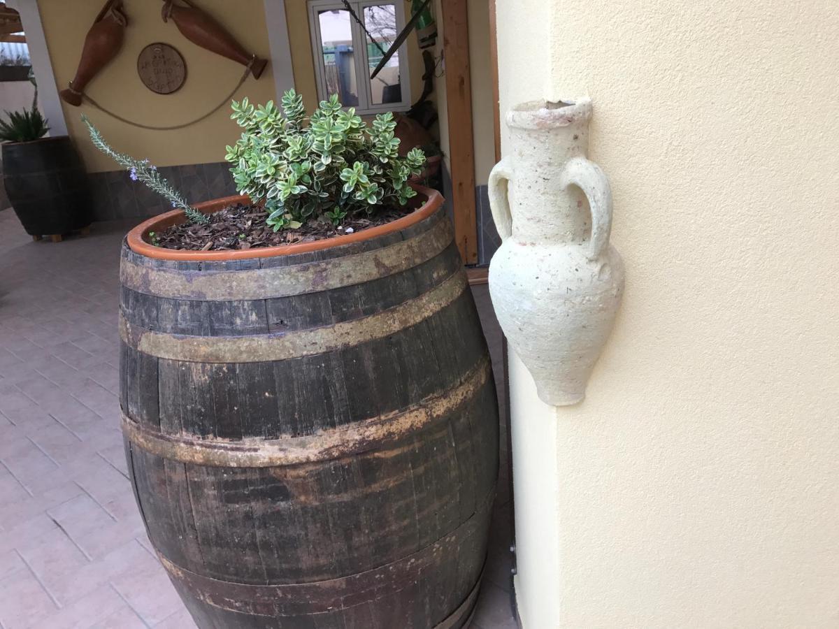 La Cantina Dello Sgatto Προτσίντα Εξωτερικό φωτογραφία