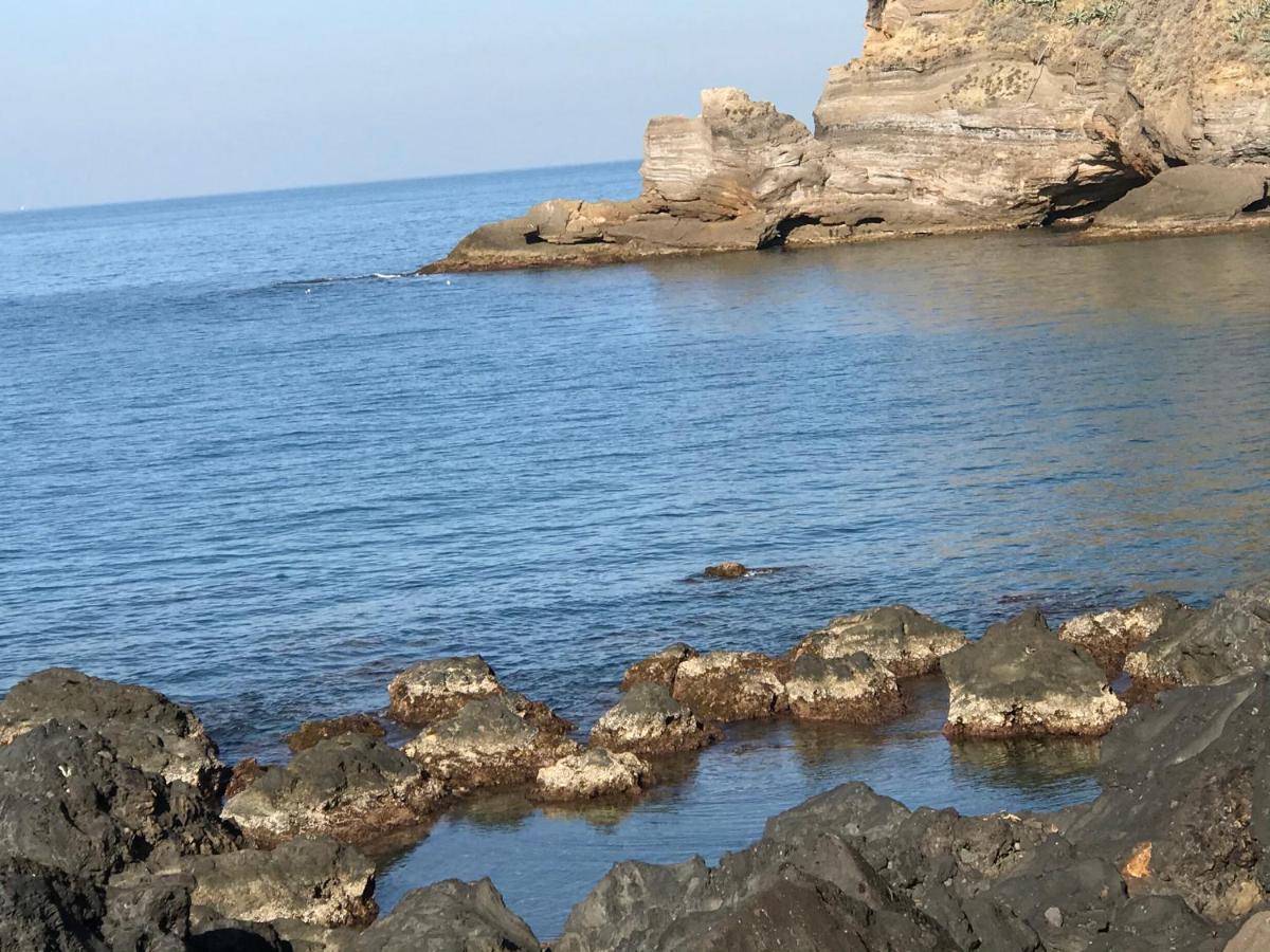 La Cantina Dello Sgatto Προτσίντα Εξωτερικό φωτογραφία
